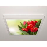 Gök Panel 60X60 LED Panel Aydınlatma Armatür Avize Sıva Üstü Desenli Tekli 46511108SU - 6500K - Beyaz