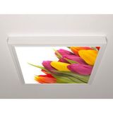 Gök Panel 60X60 LED Panel Aydınlatma Armatür Avize Sıva Üstü Desenli Tekli 46511117SU - 6500K - Beyaz