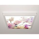 Gök Panel 60X60 LED Panel Aydınlatma Armatür Avize Sıva Üstü Desenli Tekli 46511126SU - 6500K - Beyaz