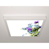 Gök Panel 60X60 LED Panel Aydınlatma Armatür Avize Sıva Üstü Desenli Tekli 46511131SU - 6500K - Beyaz
