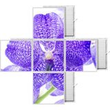 Gök Panel 60X60 LED Panel Aydınlatma Desenli 3x3 5 Li Grup Özel Seri 46511430SA - 6400K - Beyaz