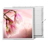 Gök Panel 60X60 LED Panel Sıva Altı Desenli Tekli 46510006SA - 6500K - Beyaz