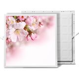 Gök Panel 60X60 LED Panel Sıva Altı Desenli Tekli 46510018SA - 6500K - Beyaz