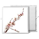 Gök Panel 60X60 LED Panel Sıva Altı Desenli Tekli 46510021SA - 6500K - Beyaz