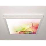 Gök Panel 60X60 LED Panel Sıva Üstü Desenli Tekli 46510002SU - 6500K - Beyaz