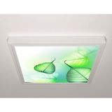 Gök Panel 60X60 LED Panel Sıva Üstü Desenli Tekli 46510004SU - 6500K - Beyaz