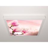 Gök Panel 60X60 LED Panel Sıva Üstü Desenli Tekli 46510005SU - 6500K - Beyaz