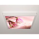 Gök Panel 60X60 LED Panel Sıva Üstü Desenli Tekli 46510006SU - 6500K - Beyaz