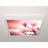 Gök Panel 60X60 LED Panel Sıva Üstü Desenli Tekli 46510007SU - 6500K - Beyaz