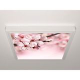 Gök Panel 60X60 LED Panel Sıva Üstü Desenli Tekli 46510009SU - 6500K - Beyaz