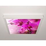 Gök Panel 60X60 LED Panel Sıva Üstü Desenli Tekli 46510024SU - 6500K - Beyaz