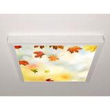 Gök Panel 60X60 LED Panel Sıva Üstü Desenli Tekli 46510081SU - 6500K - Beyaz
