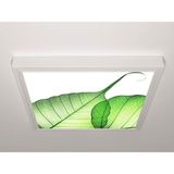 Gök Panel 60X60 LED Panel Sıva Üstü Desenli Tekli 46510099SU - 6500K - Beyaz
