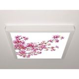 Gök Panel 60X60 LED Panel Sıva Üstü Desenli Tekli 46510158SU - 6500K - Beyaz