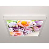 Gök Panel 60X60 LED Panel Sıva Üstü Desenli Tekli 46510160SU - 6500K - Beyaz
