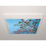 Gök Panel 60X60 LED Panel Sıva Üstü Desenli Tekli 46510168SU - 6500K - Beyaz