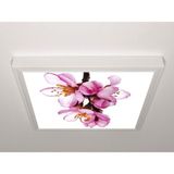 Gök Panel 60X60 LED Panel Sıva Üstü Desenli Tekli 46510169SU - 6500K - Beyaz