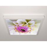 Gök Panel 60X60 LED Panel Sıva Üstü Desenli Tekli 46510171SU - 6500K - Beyaz