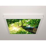 Gök Panel 60X60 LED Panel Sıva Üstü Desenli Tekli 46510172SU - 6500K - Beyaz