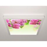 Gök Panel 60X60 LED Panel Sıva Üstü Desenli Tekli 46510181SU - 6500K - Beyaz