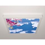 Gök Panel 60X60 LED Panel Sıva Üstü Desenli Tekli 46510186SU - 6500K - Beyaz