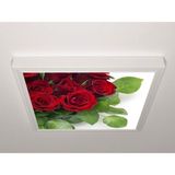 Gök Panel 60X60 LED Panel Sıva Üstü Desenli Tekli 46510702SU - 6500K - Beyaz