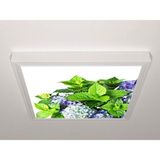 Gök Panel 60X60 LED Panel Sıva Üstü Desenli Tekli 46510704SU - 6500K - Beyaz