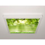 Gök Panel 60X60 LED Panel Sıva Üstü Desenli Tekli 46510715SU - 6500K - Beyaz