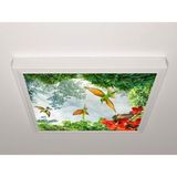Gök Panel 60X60 LED Panel Sıva Üstü Desenli Tekli 46510810SU - 6500K - Beyaz