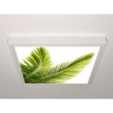 Gök Panel 60X60 LED Panel Sıva Üstü Desenli Tekli 46510909SU - 6500K - Beyaz