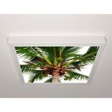 Gök Panel 60X60 LED Panel Sıva Üstü Desenli Tekli 46510922SU - 6500K - Beyaz