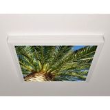 Gök Panel 60X60 LED Panel Sıva Üstü Desenli Tekli 46510923SU - 6500K - Beyaz