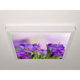 Gök Panel 60X60 LED Panel Sıva Üstü Desenli Tekli 46510955SU - 6500K - Beyaz