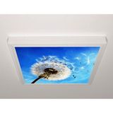Gök Panel 60X60 LED Panel Sıva Üstü Desenli Tekli 46510960SU - 6500K - Beyaz