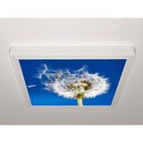 Gök Panel 60X60 LED Panel Sıva Üstü Desenli Tekli 46510964SU - 6500K - Beyaz