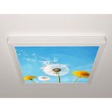 Gök Panel 60X60 LED Panel Sıva Üstü Desenli Tekli 46510965SU - 6500K - Beyaz