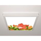 Gök Panel 60X60 LED Panel Sıva Üstü Desenli Tekli 46510983SU - 6500K - Beyaz