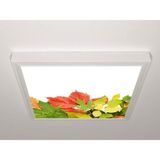 Gök Panel 60X60 LED Panel Sıva Üstü Desenli Tekli 46510986SU - 6500K - Beyaz