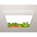 Gök Panel 60X60 LED Panel Sıva Üstü Desenli Tekli 46510989SU - 6500K - Beyaz