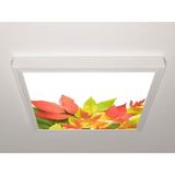Gök Panel 60X60 LED Panel Sıva Üstü Desenli Tekli 46510992SU - 6500K - Beyaz