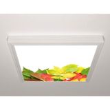 Gök Panel 60X60 LED Panel Sıva Üstü Desenli Tekli 46510995SU - 6500K - Beyaz