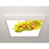 Gök Panel 60X60 LED Panel Sıva Üstü Desenli Tekli 46511000SU - 6500K - Beyaz
