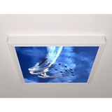Gök Panel 60X60 LED Panel Sıva Üstü Desenli Tekli 46511070SU - 6500K - Beyaz