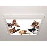 Gök Panel 60X60 LED Panel Sıva Üstü Desenli Tekli 46511101SU - 6500K - Beyaz