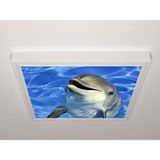 Gök Panel 60X60 LED Panel Sıva Üstü Desenli Tekli 46511102SU - 6500K - Beyaz