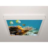 Gök Panel 60X60 LED Panel Sıva Üstü Desenli Tekli 46511103SU - 6500K - Beyaz