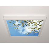 Gök Panel 60X60 LED Panel Sıva Üstü Desenli Tekli 46511105SU - 6500K - Beyaz
