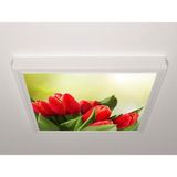 Gök Panel 60X60 LED Panel Sıva Üstü Desenli Tekli 46511107SU - 6500K - Beyaz