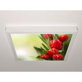 Gök Panel 60X60 LED Panel Sıva Üstü Desenli Tekli 46511109SU - 6500K - Beyaz
