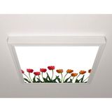 Gök Panel 60X60 LED Panel Sıva Üstü Desenli Tekli 46511110SU - 6500K - Beyaz